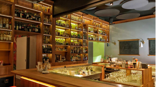 GEM Alumni in Milan Christmas gathering! 